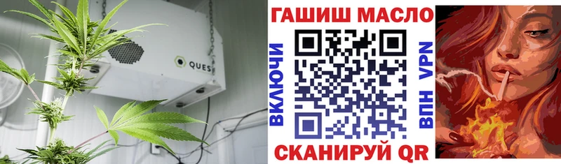 цена наркотик  Багратионовск  MEGA ТОР  ТГК THC oil 