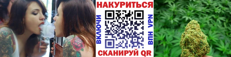 Конопля сатива  цена   мега tor  Багратионовск 